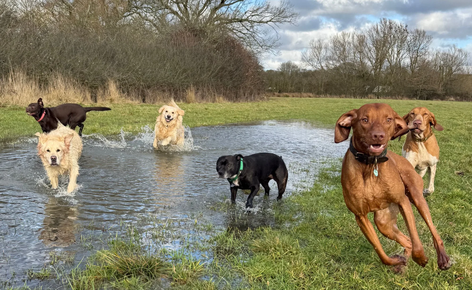 The gang splashing through a flooded field
